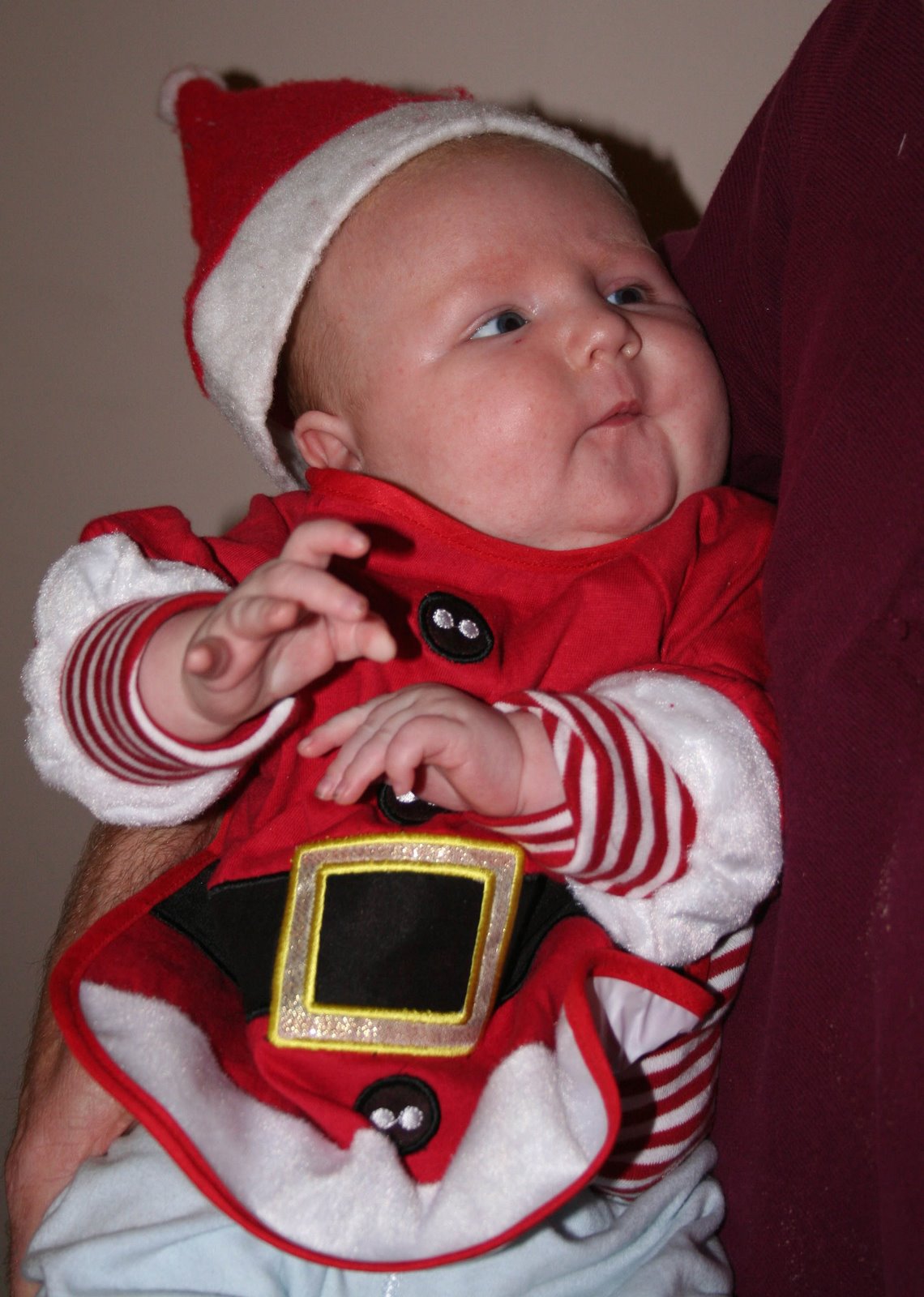 [IMG_2104crop.jpg]