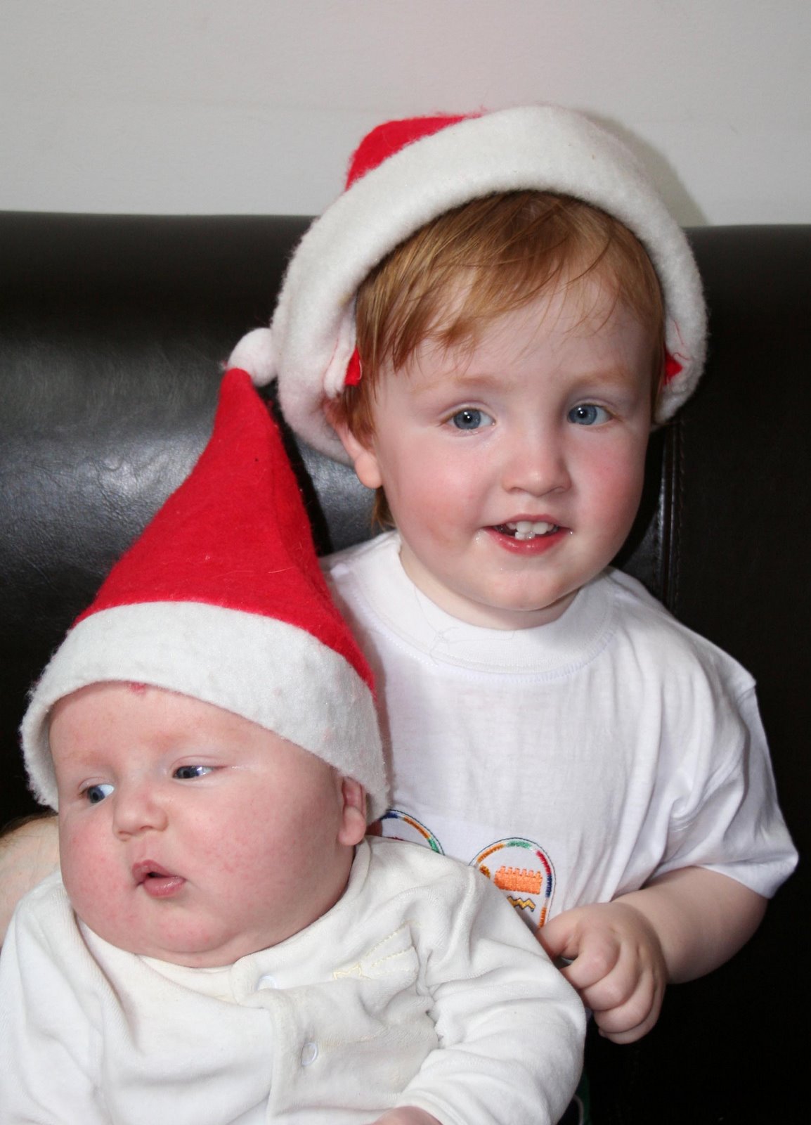 [IMG_2074cropsm.jpg]