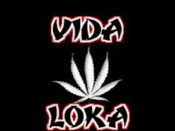 ViDa LoKa