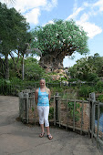 animal kingdom