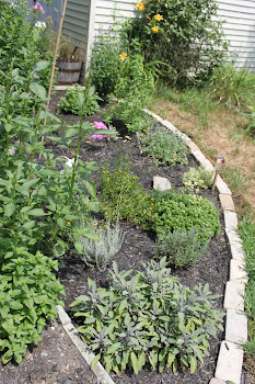 Better photo of 2010 Herb Garden