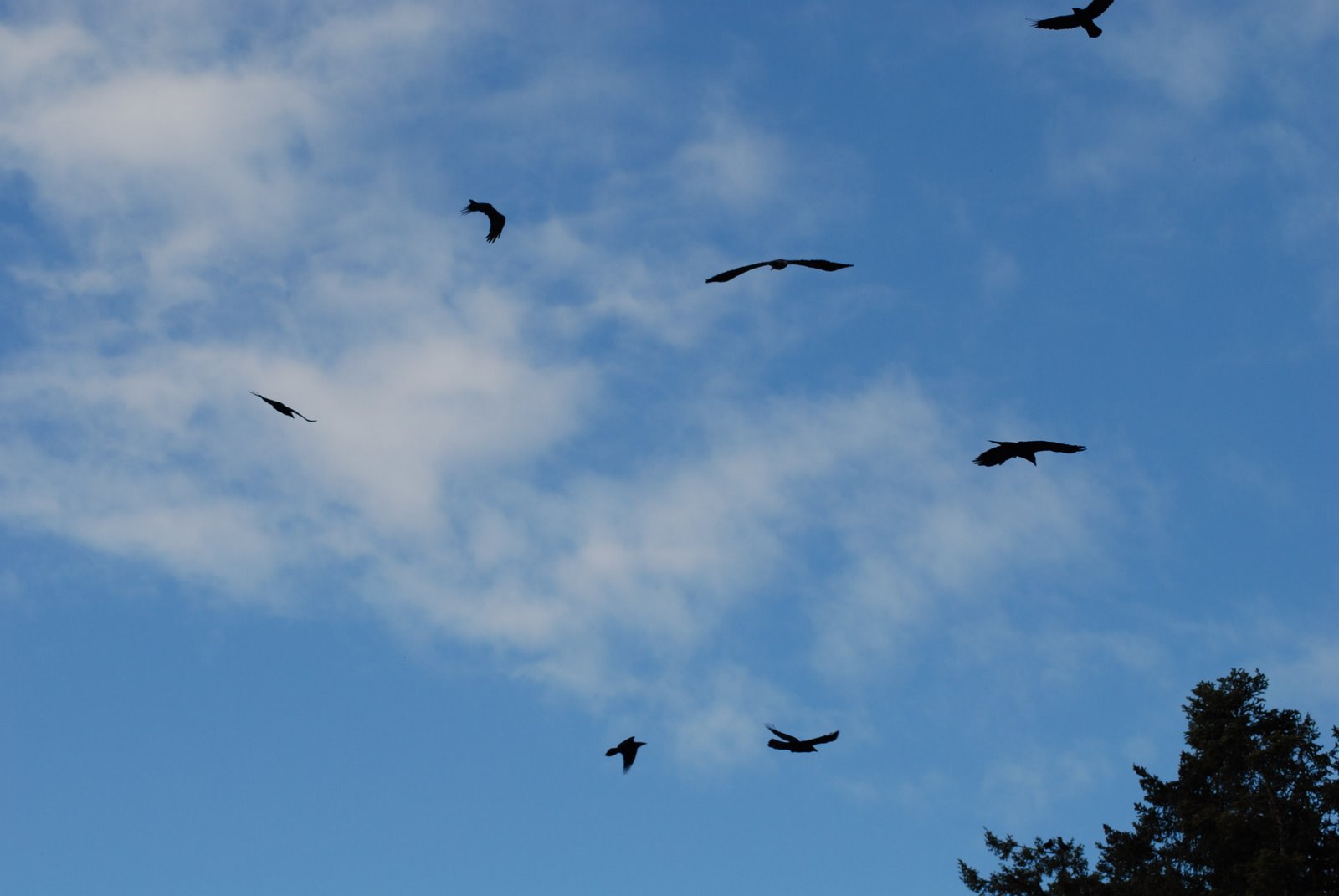 [DSC_0005.JPG]