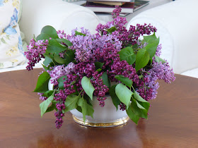 Windgefluster 10 05 09 17 05 09