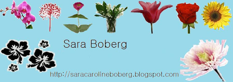 Sara Boberg