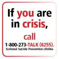 Crisis Hotline