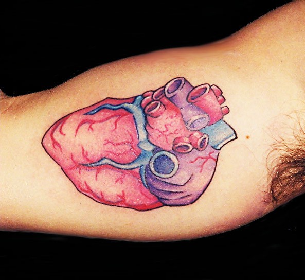 inside arm tattoo. inside arm tattoo. Human Heart, Inside Arm; Human Heart, Inside Arm. Darth.Titan. Apr 25, 11:15 AM. http://www.insanelymac.com/forum/