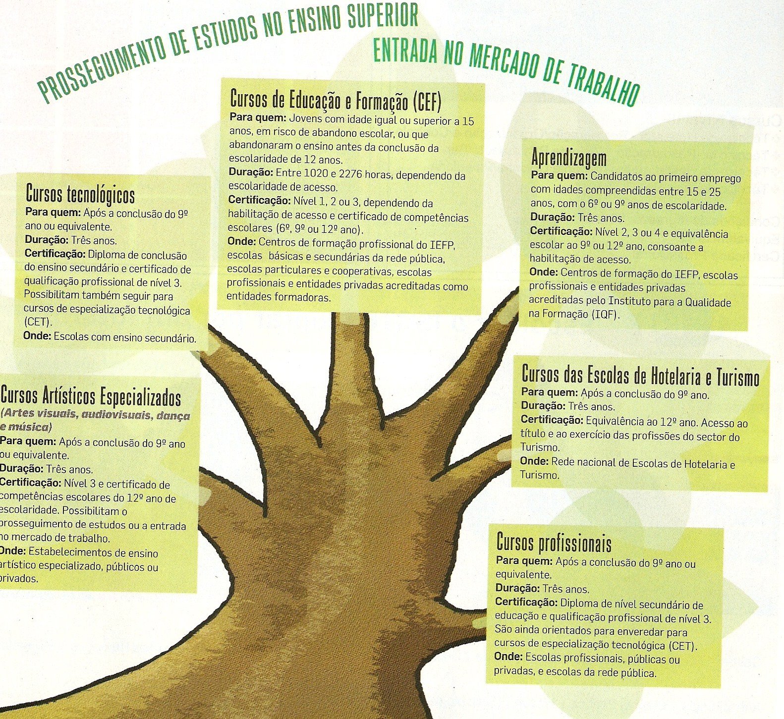 [Digitalizar0001.jpg]