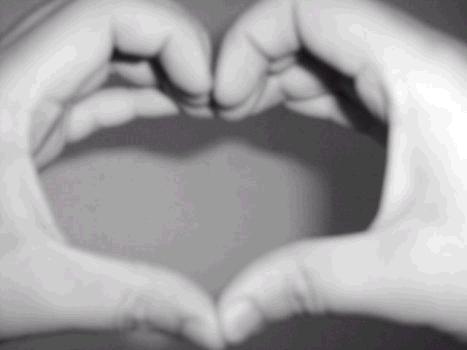 amor amor