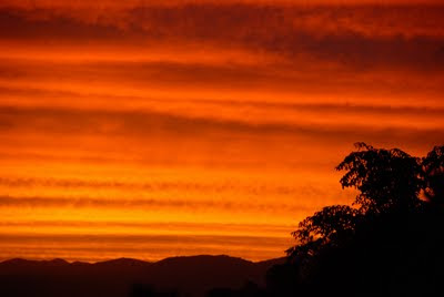 Foto: Celso Martins
