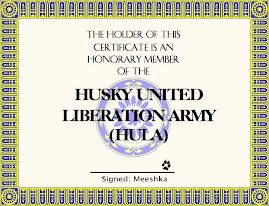 MBB's HULA Certificate