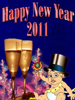 happy new year 2011