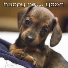 New Year Puppy Card