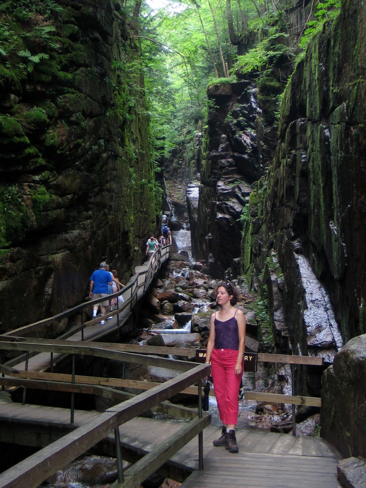 Flume Gorge