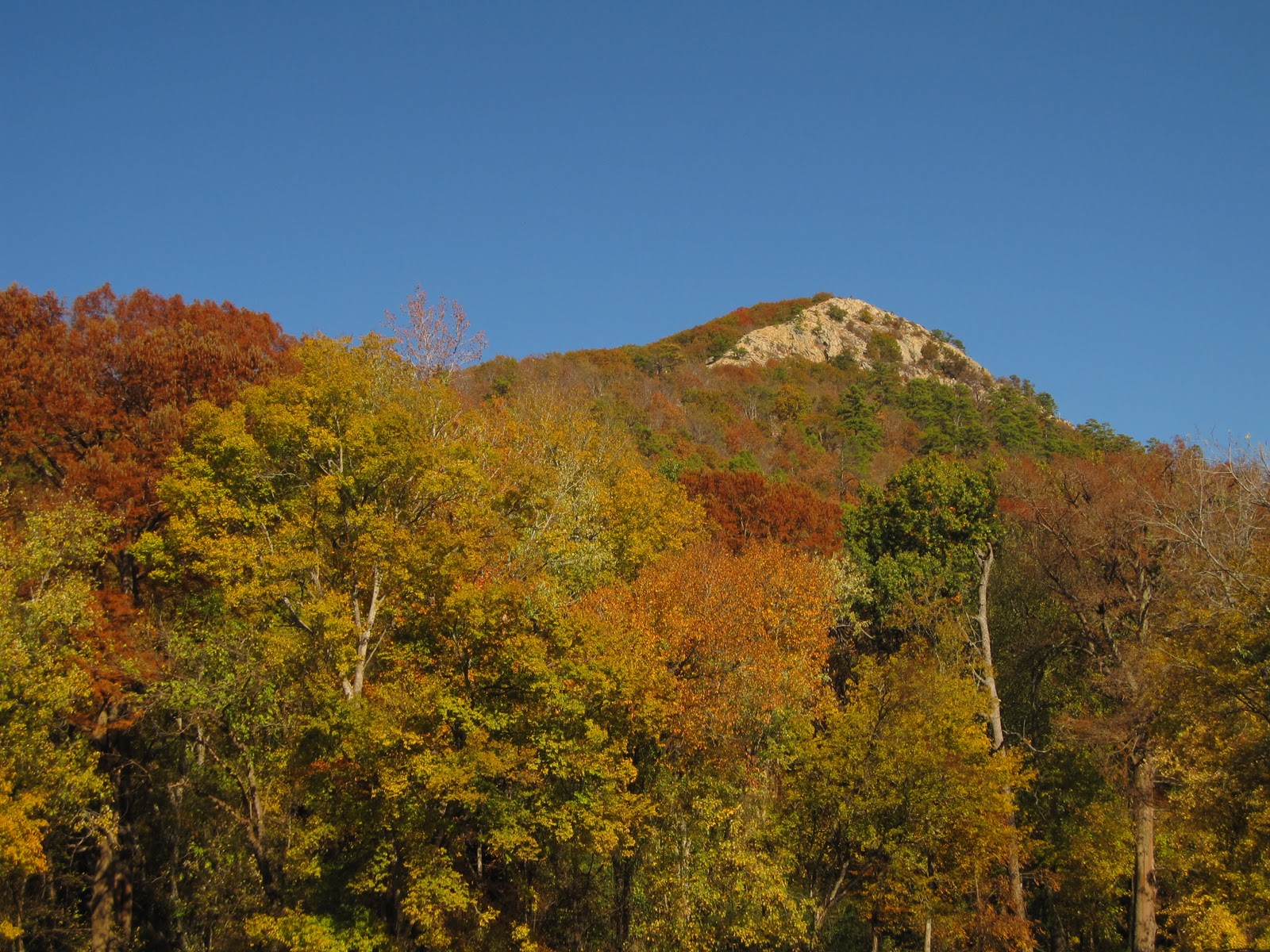 The Hikemasters' Trail Descriptions Summit Loop, Pinnacle Mountain