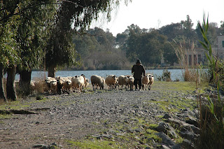 ΝΕΟ ΕΓΚΛΗΜΑ ΣΤΟΝ ΚΑΪΑΦΑ