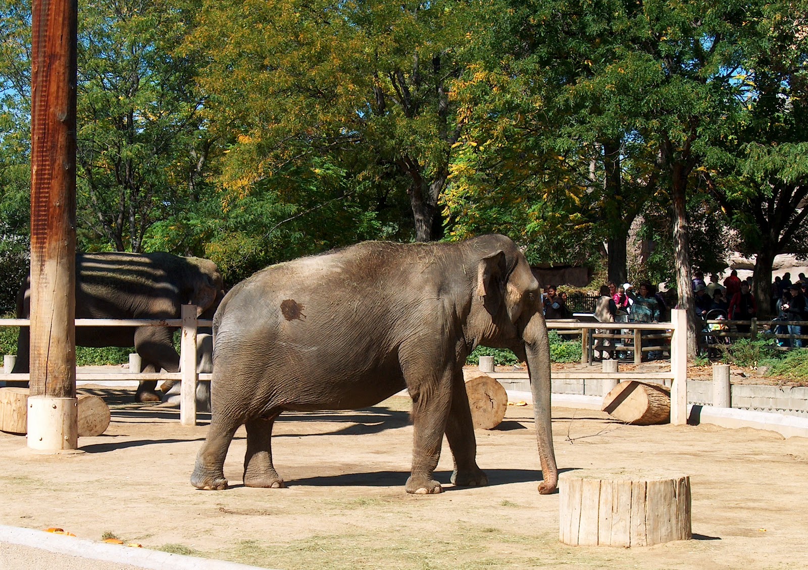 Pilgrims' Journey The Denver Zoo