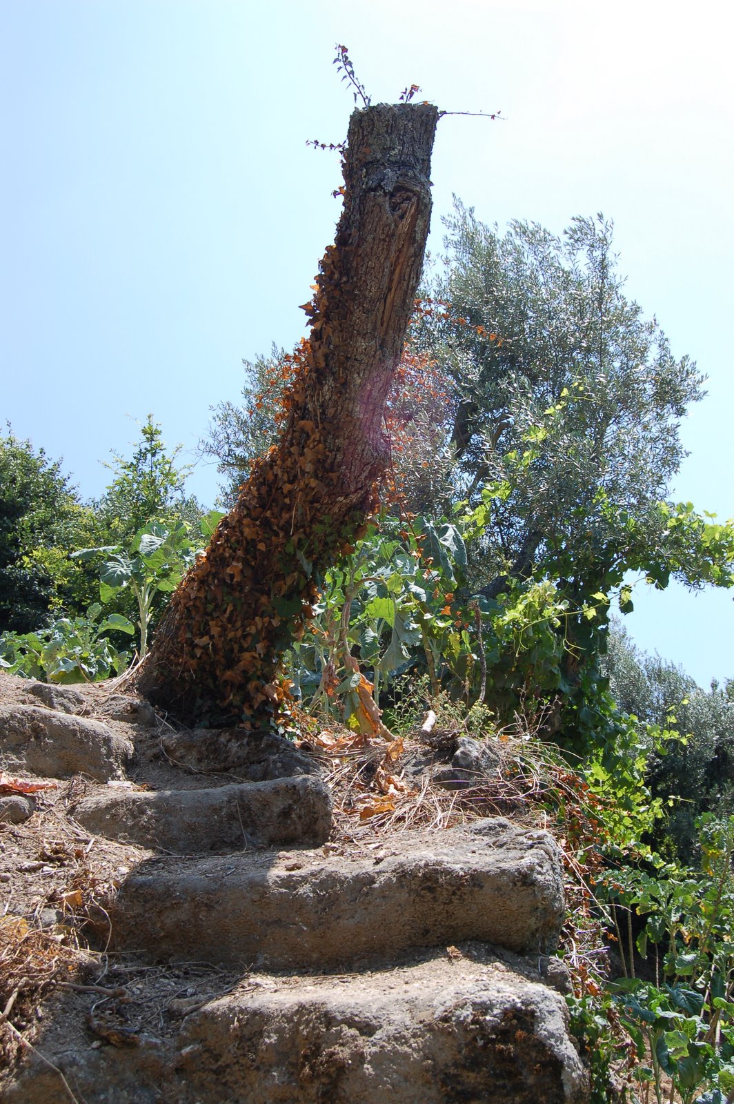 [Resende+2007+005.jpg]