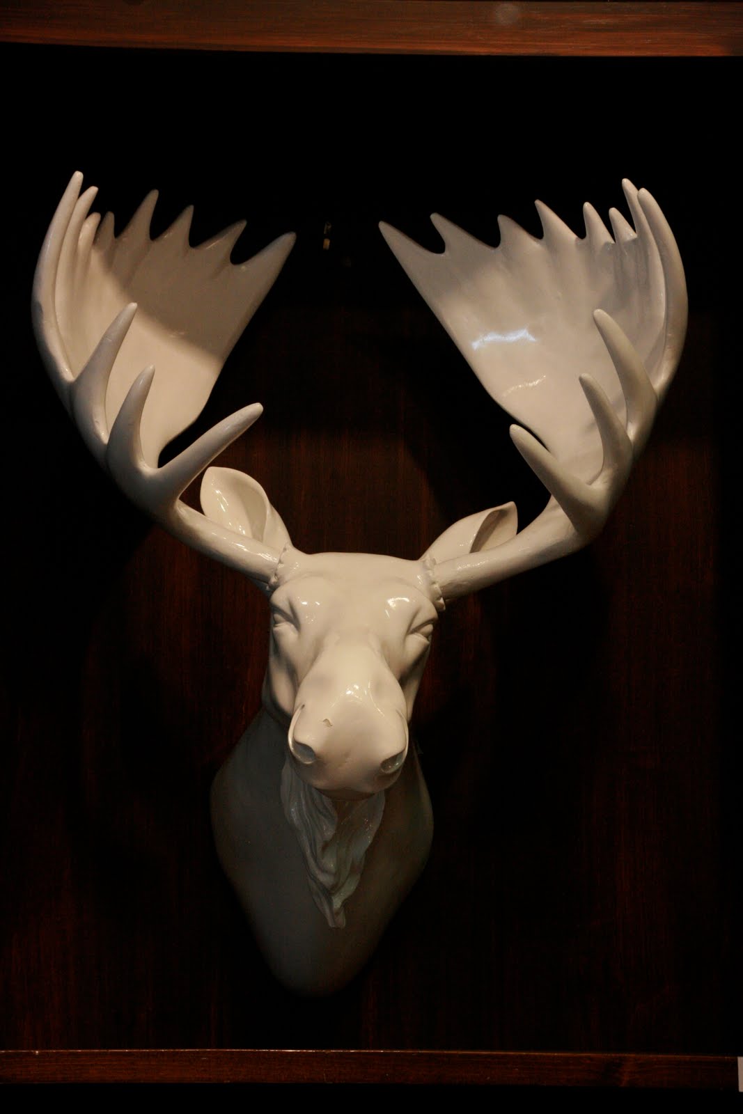 of Roe Deer Antlers 4" to 6" taxidermy skull head hunting 20 tines 10 Pairs 