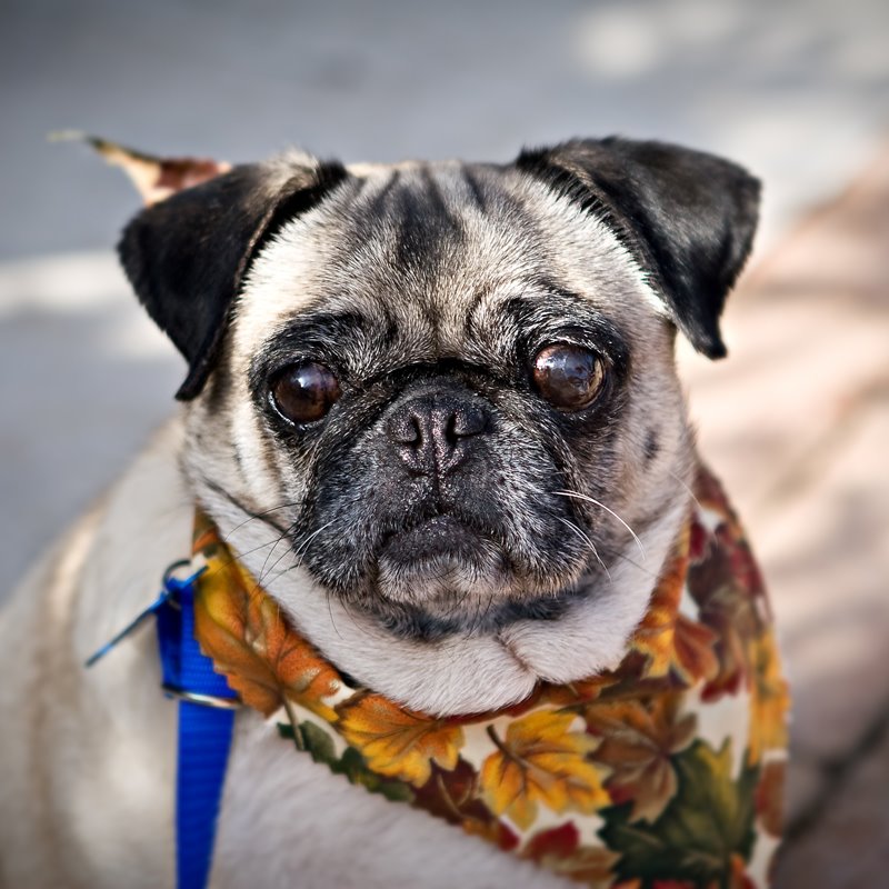 [BLOG_Jayne-Cecil_101908_0180.jpg]