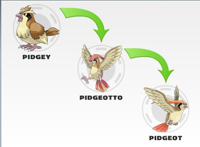 Evolution Of Pidgey