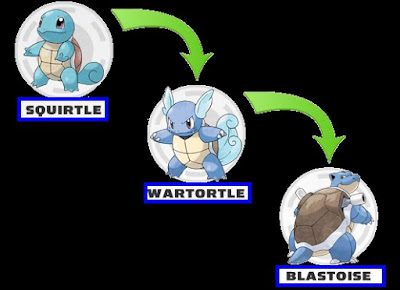 Rede Pokemon: evolution squirtle