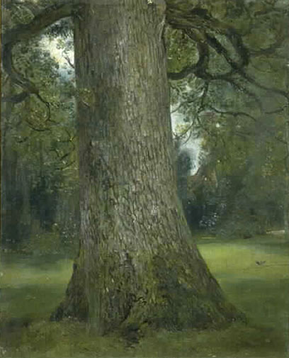[constable-elm.jpg]