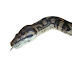 Sunday Styles Obsessions: Pile on the Python