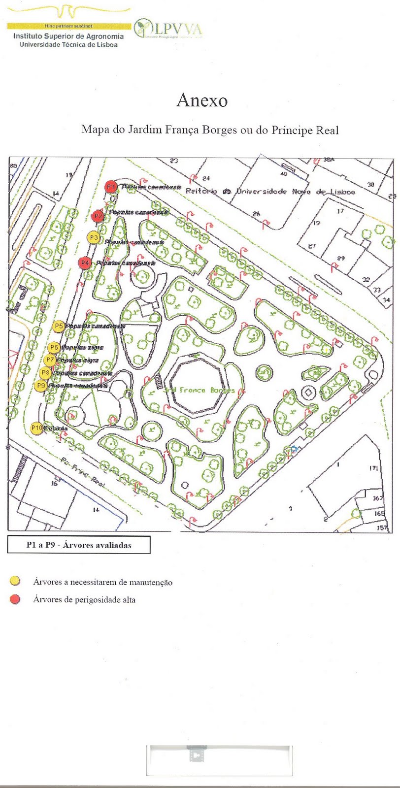 [ParecerLPVVA.6.JPG]