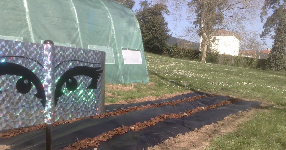 El Huerto Encantado: El huerto al aire libre.