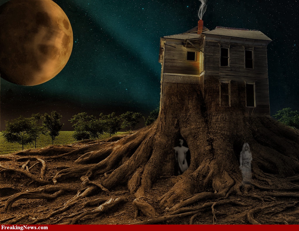 Grand Wazoo - Clothing and other Woundrous Things: Halloween Grand Wazoo - Clothing and other Woundrous Things: Halloween