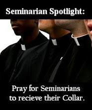 Seminarian Spotlight