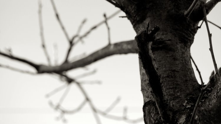 [DSC_0050.jpg]