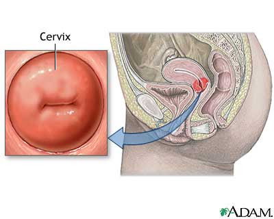 Cervix beautiful How deep