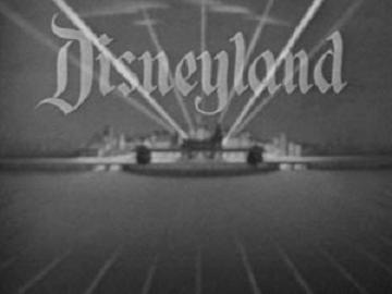 [1aadis.jpg]