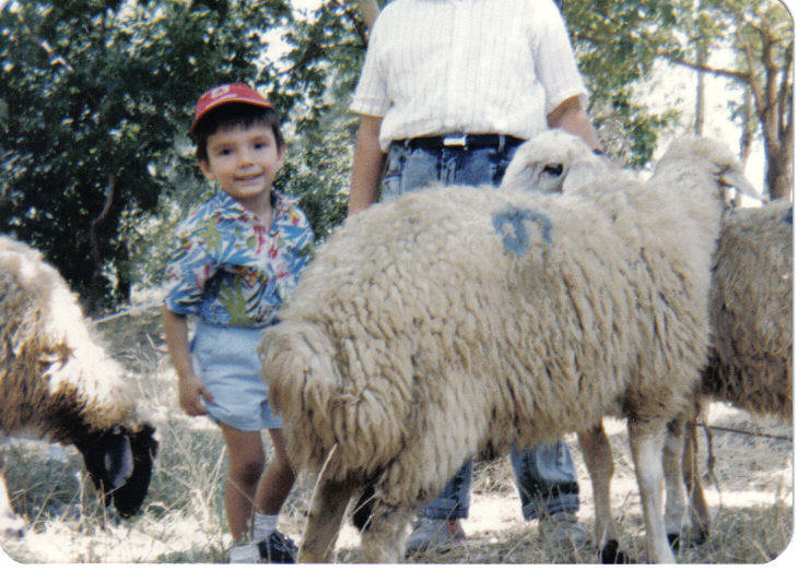 komunal iskembe 2009