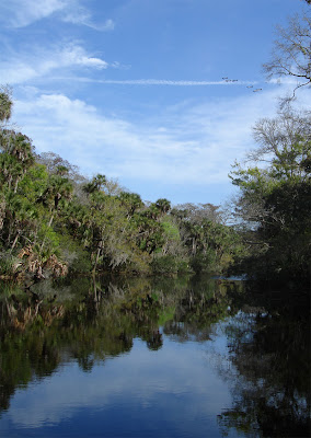 Spruce Creek
