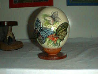 Keajaiban Khasiat Ma Jun Burung Kasawari Unta April 2010