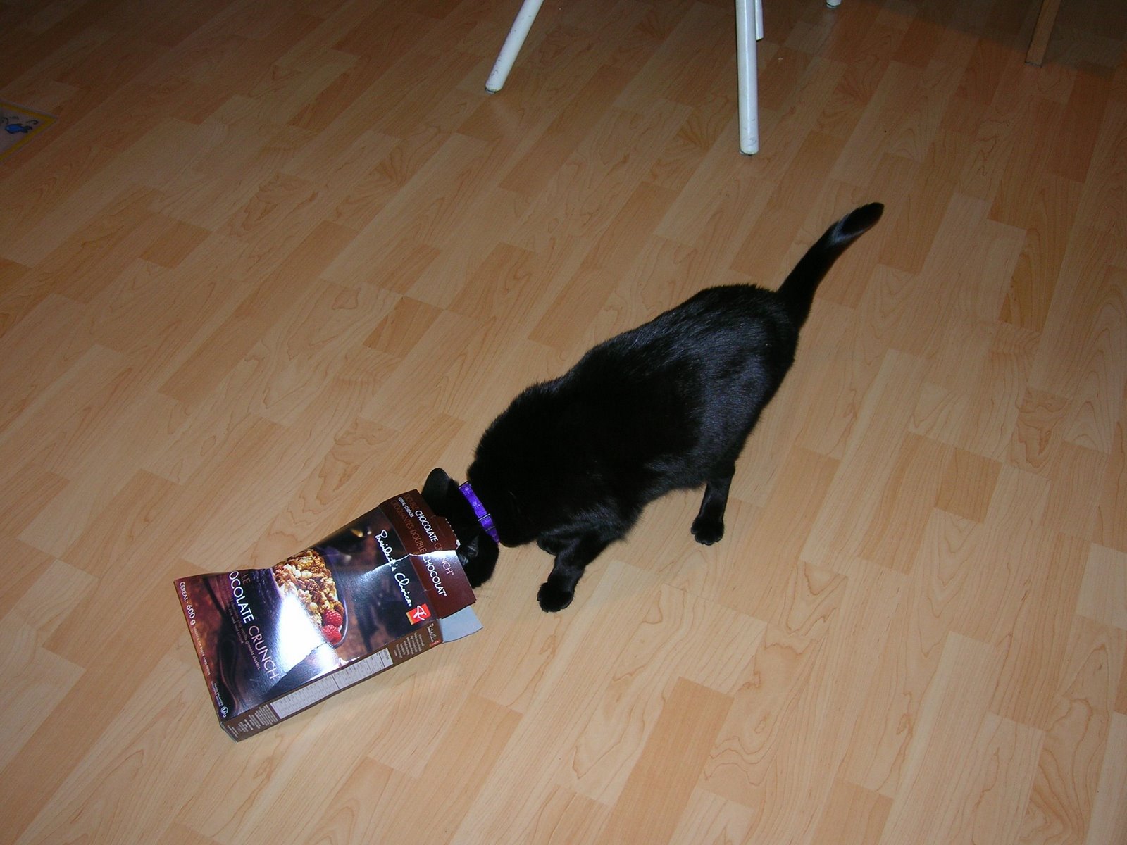 [DSCN3080.jpg]