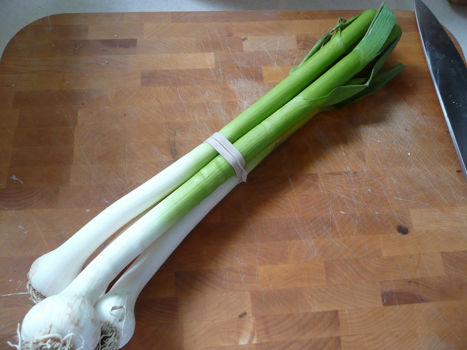 [P1020037.JPG]