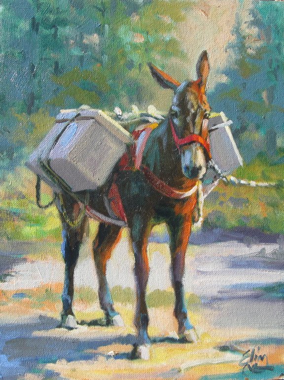 1000+ images about pack mules on Pinterest | Gov't mule, Donkeys and