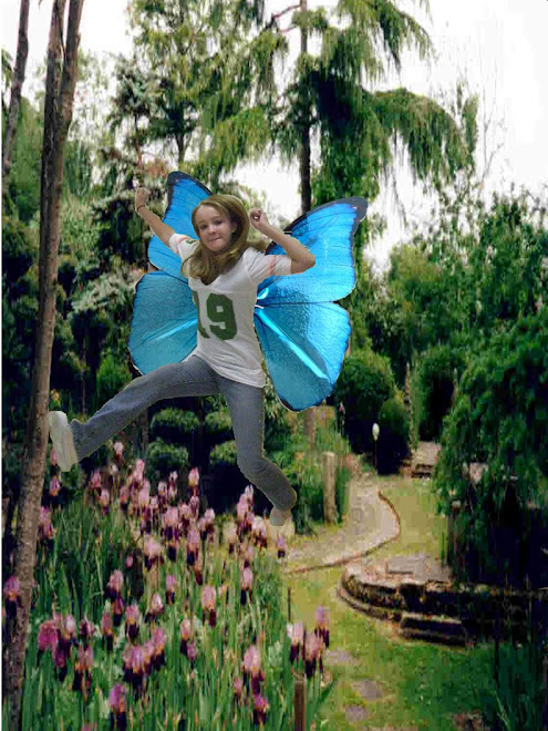 Butterfly Megan