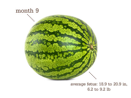 Projects manager and grapes last weeks roses mar Company categorized under projects manager Pretty far gone