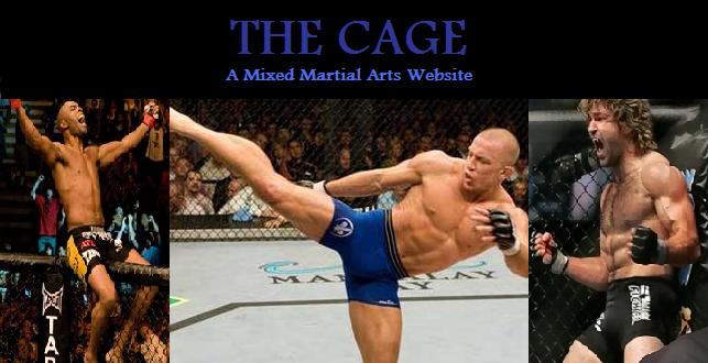 The Cage: Mixed Martial Arts