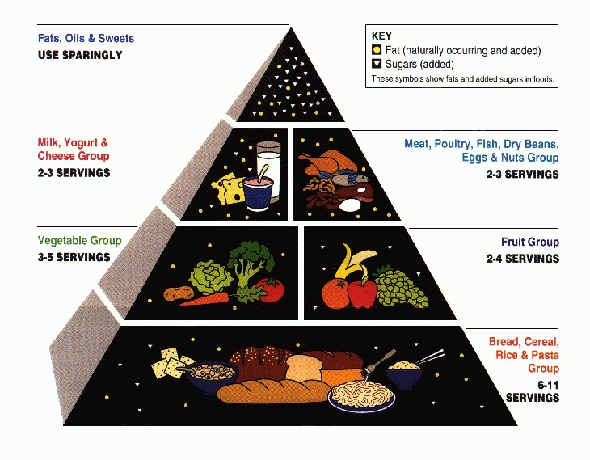 animal food chain pyramid. Keep Food Legal, The