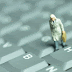 SBA offer small-business help