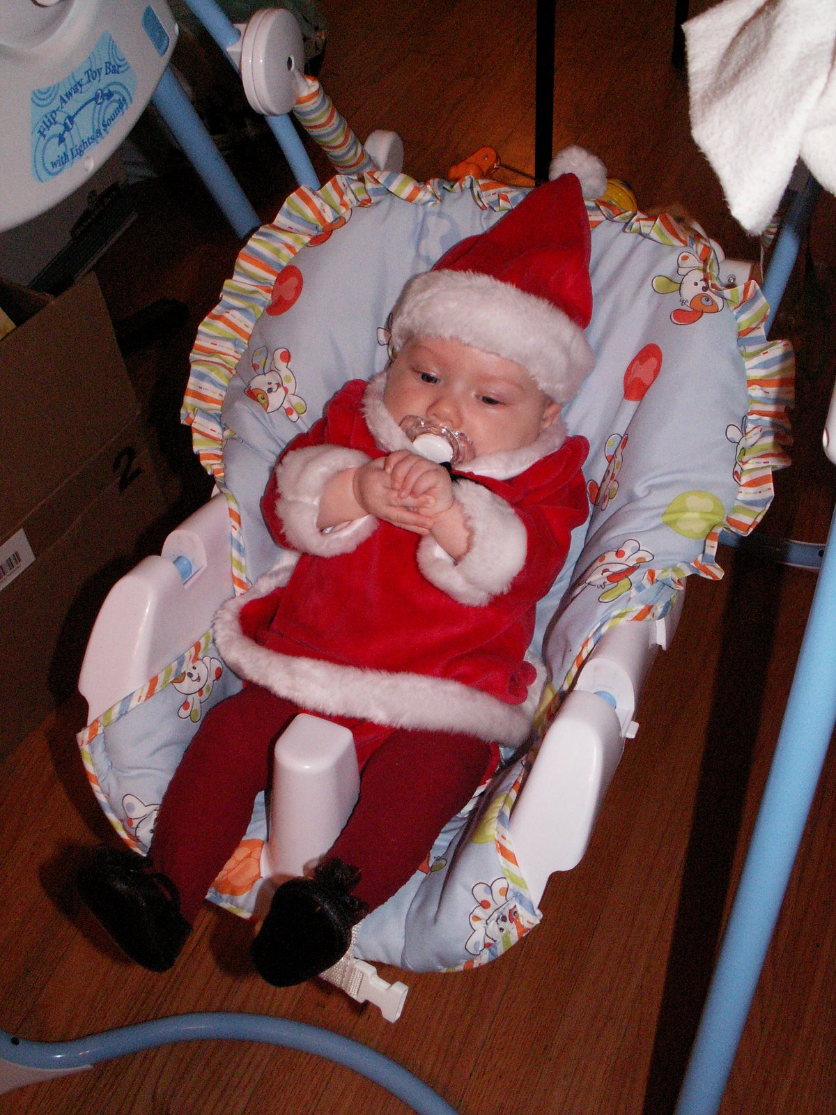 [PICT0098.JPG]