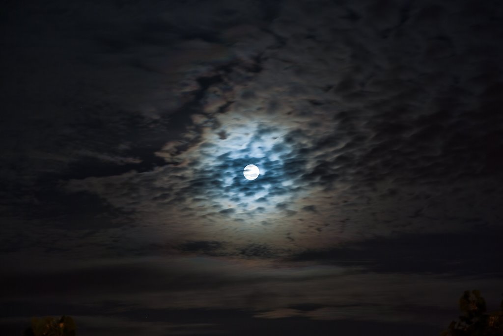 [Moon+above.jpg]
