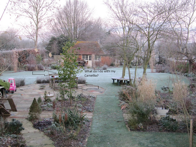 Gardening, Garden Design and Landscaping