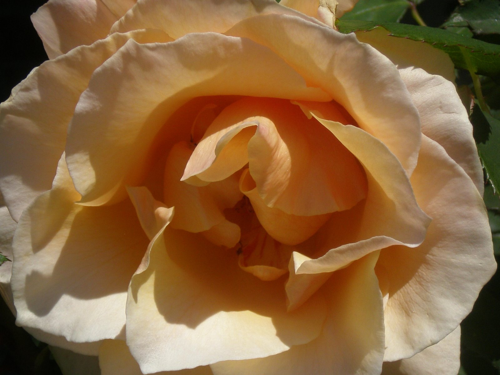 [P4120175.JPG]