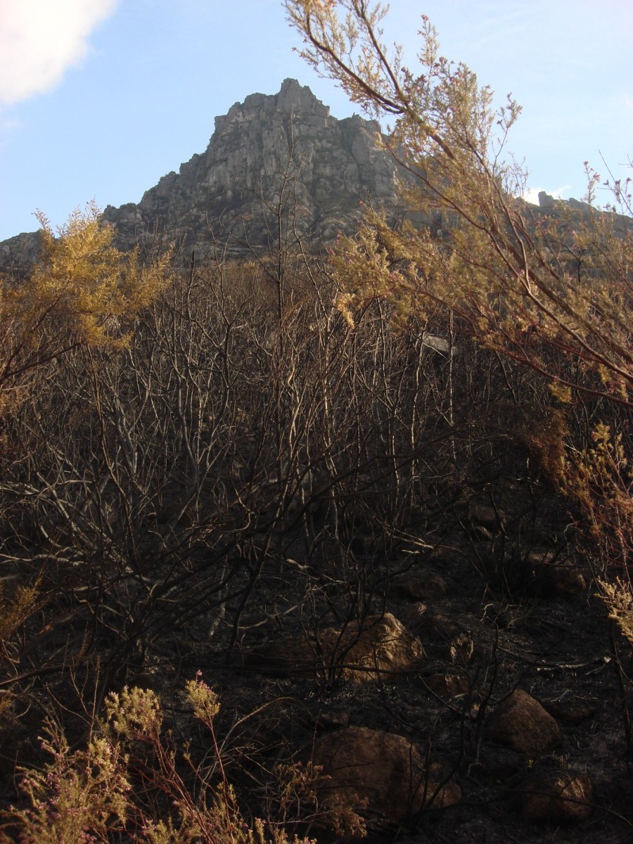 [DSC01440+[Desktop+Resolution].JPG]